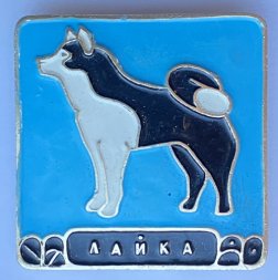 Значок. Серия собаки. Лайка (голубой фон)
