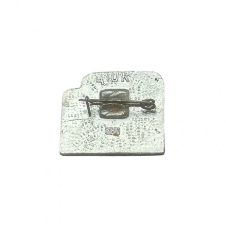 Значок Эстония. Narva. Нарва (ВХО)