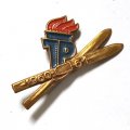Значок Пионерия. ГДР Спорт. ТР Золотые лыжи 1960-1961 г.