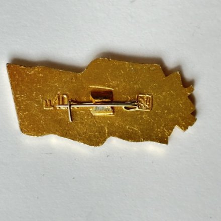 Значок. Орден Победы Луга