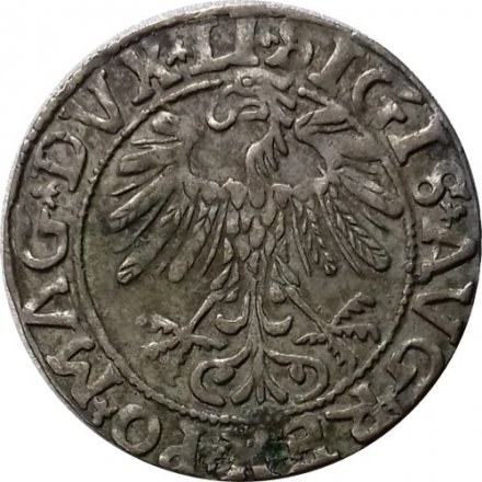 Великое Княжество Литовское (Литва) Полугрош 1557 год Сигизмунд II Август (1548-1569) - XF