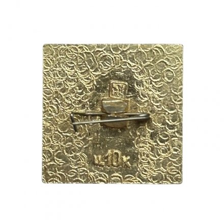 Значок Светлогорск. Герб