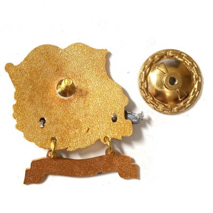 Знак Участник парада. Кронштадт. ПЛ &quot;Владикавказ&quot;