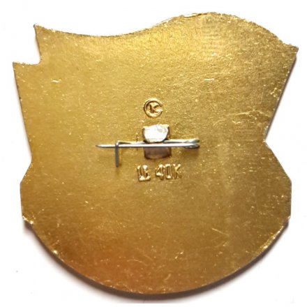 Значок Северный флот. СФ 50 лет