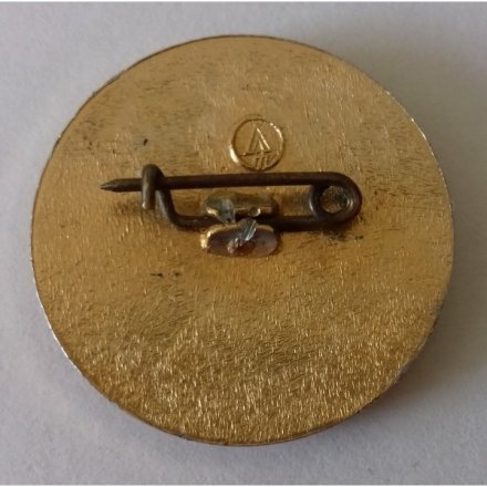 Значок &quot;Ленинград. Зимнее плавание&quot;