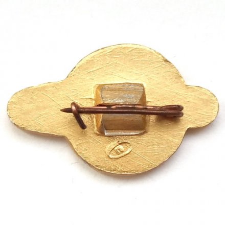 Значок Космос Восток-2. 1961 г.