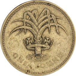 Великобритания 1 фунт 1985 год - Лук-порей (символ Уэльса)