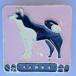 Значок. Серия собаки. Лайка (розовый фон) 