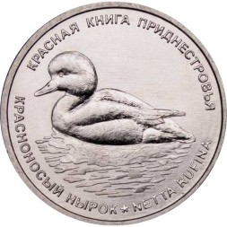 Приднестровье 1 рубль 2023 год - Красноносый нырок