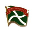Знак Чудовский таможенный пост