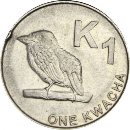 Замбия 1 квача 2013 год - Замбийский дятел