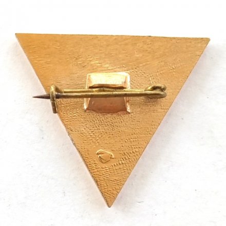 Знак &quot;ССО Ленинград 1985&quot; СССР