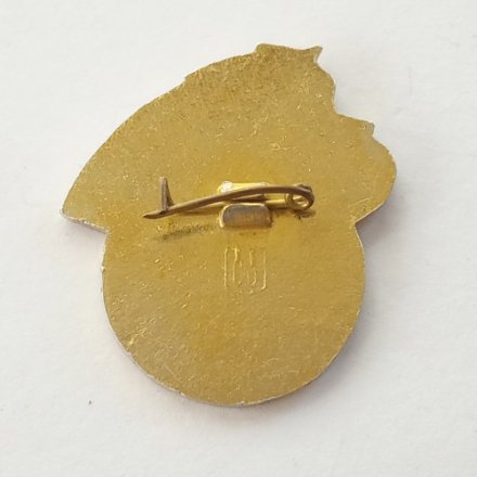 Значок &quot;Юный автомотолюбитель РСФСР&quot;