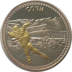 Медаль (жетон) Столица XXII Зимних Олимпийских игр 2014 Сочи. Конькобежный спорт