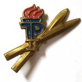 Значок Пионерия. ГДР Спорт. ТР Золотые лыжи. 2 ступень