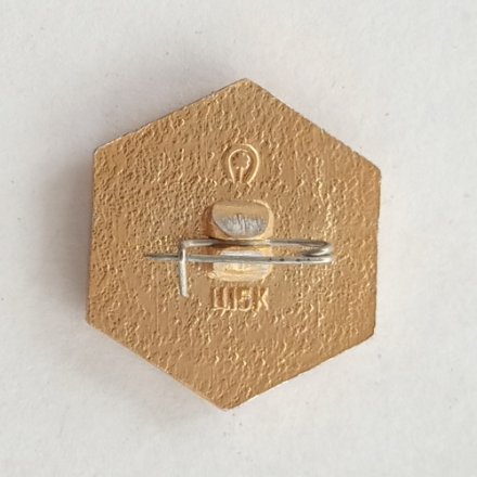 Значок СССР VIII Зимняя спартакиада профсоюзов. Санный спорт