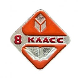 Значок 8 класс. Школа