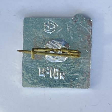 Значок. Водное поло (тип 5)