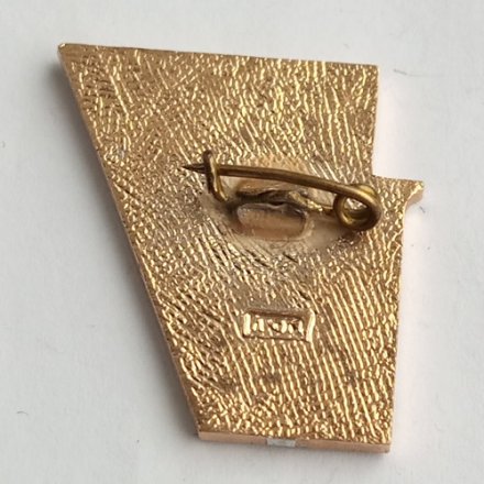 Значок &quot;Пионерский лагерь Ленинские Искры 1924-1974&quot;