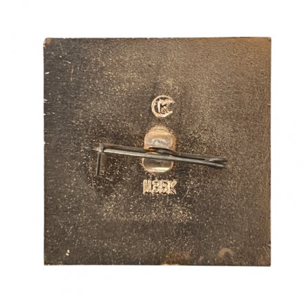 Значок. СССР Флот Корабль "Арктика 77"