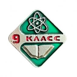 Значок 9 класс. Школа