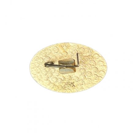 Значок 50 лет ГАЗ. Горьковский автомобильный завод