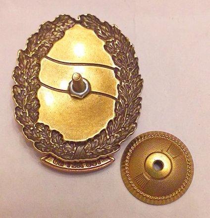 Знак «100 лет ПВ. Совет ветеранов пограничников. Служба в г. Выборге»