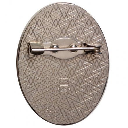 Знак Международный автопробег Дорогами Победы! 2012 год. Днепропетровск