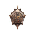 Знак фрачный &quot;За службу в разведке&quot;