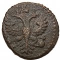 Полушка 1731 год Анна Иоанновна (1730 - 1740) - F