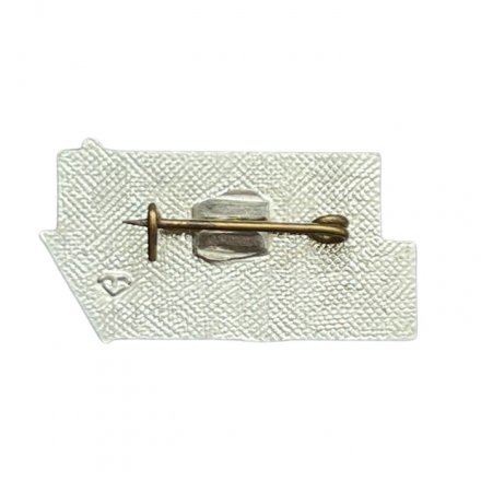 Значок Ленинградский областной студенческий отряд 1986г. (зелёный)