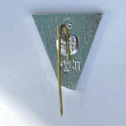 Значок. Прыжки в воду (игла)