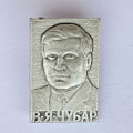 Значок. В.Я. Чубар