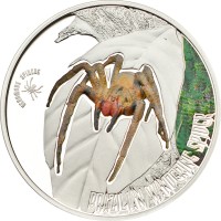Монета Острова Кука 2 доллара 2013 год - Бразильский странствующий паук