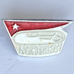 Значок. Спортивные сооружения. Лужники