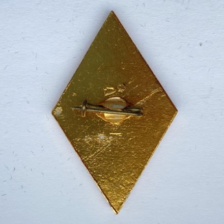 Значок. Шахматы. 39 Чемпионат СССР 1971. Ленинград (бело-зеленый)