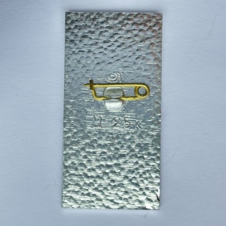 Значок. Самбо. Ленинград Эстония Латвия Белоруссия Литва. Л-80