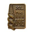 Значок XL (40) лет Гос. НИИ ОЧБ