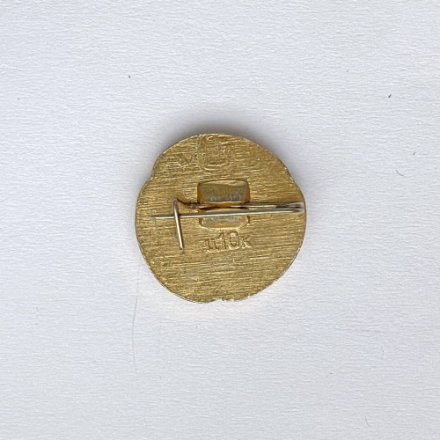 Значок. Спорт. Коньки. Конькобежный спорт