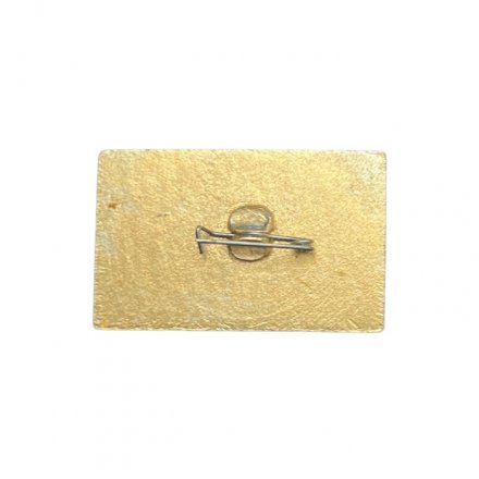 Значок Сельские игры. Хомутово - 87