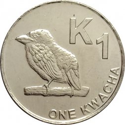 Замбия 1 квача 2012 год - Замбийский дятел