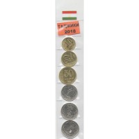 Набор из 6 монет Таджикистан 2018 год (в запайке)