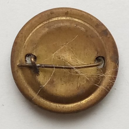 Значок Персоналии (Христо Ботев??)