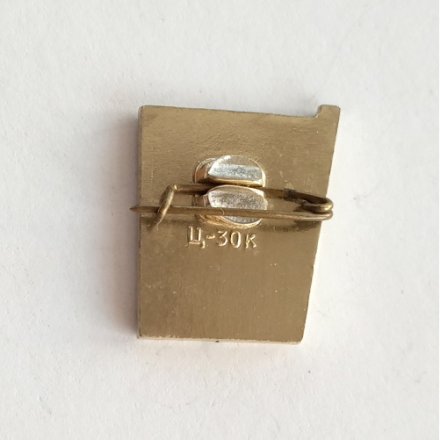 Значок &quot;XXV Чемпионат СССР&quot;