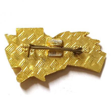 Значок Волгоград. Звезда Героя