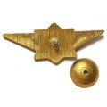Знак Классности МЧС, мастер