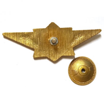 Знак Классности МЧС, мастер