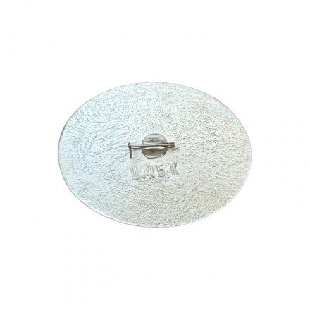 Значок Иркутск. Областной фонд культуры. Дом купца Кузнецова, 1820 год