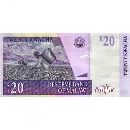 Малави 20 квача 2007 год - Чайные плантации UNC