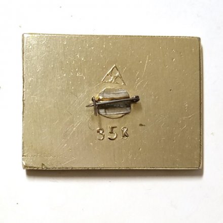 Значок Всемирный Фестиваль Молодежи и Студентов